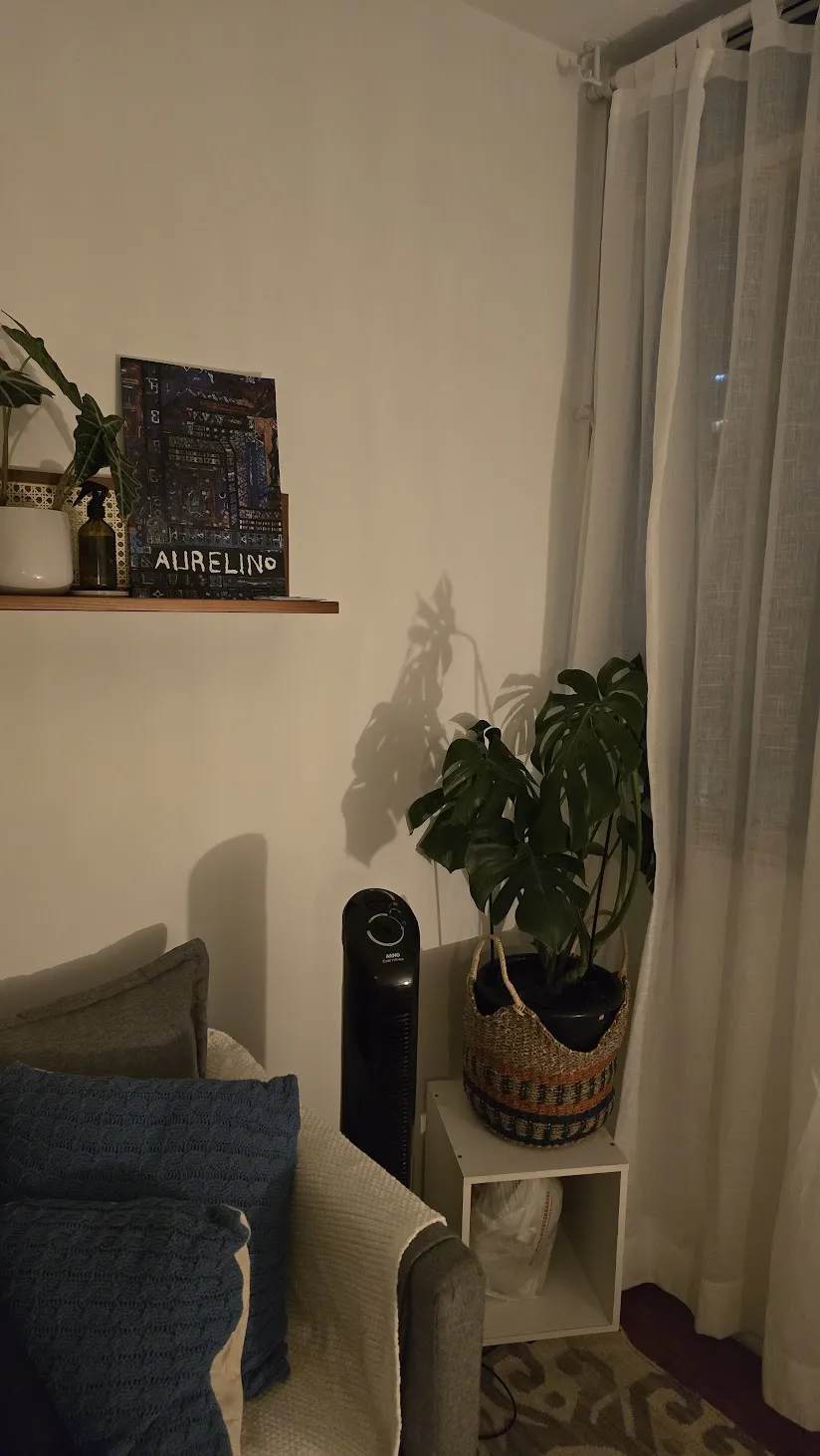 Canto do consultório com planta, cortina clara e móveis de madeira